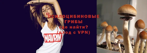 СК Тихвин