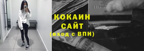 твердый Горняк