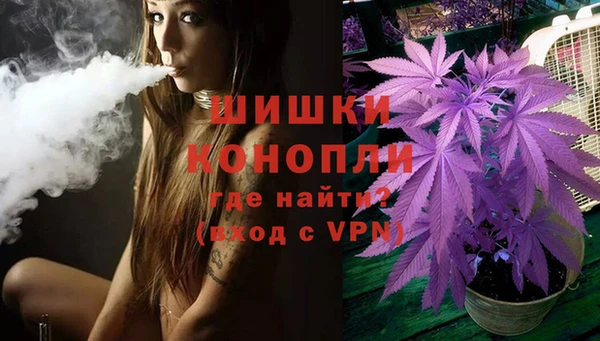 ALPHA PVP Горно-Алтайск