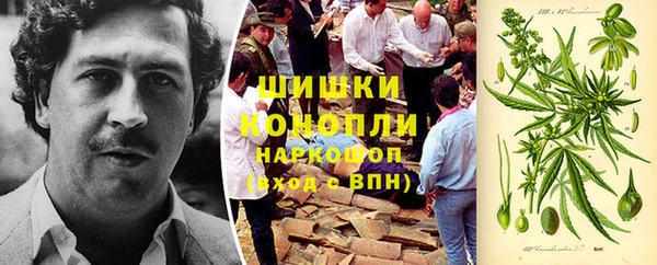 твердый Горняк